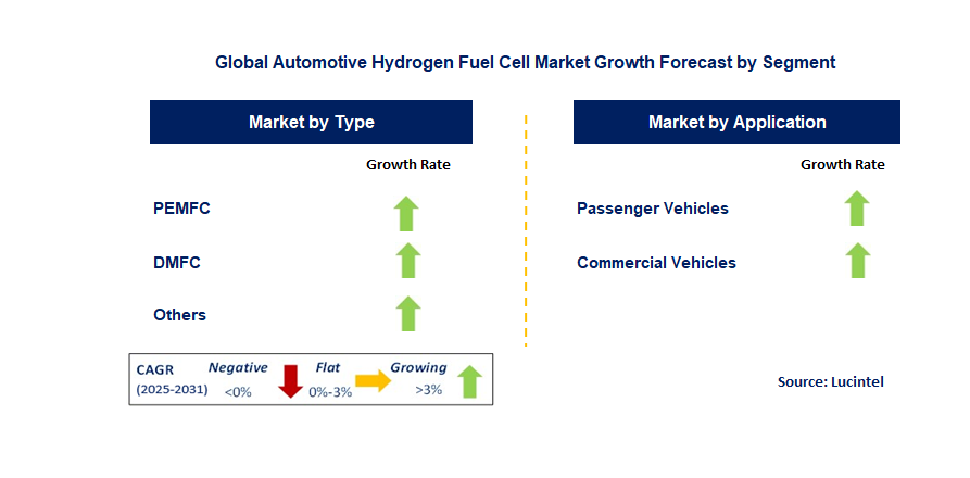 Automotive Hydrogen Fuel Cell Market by Segment