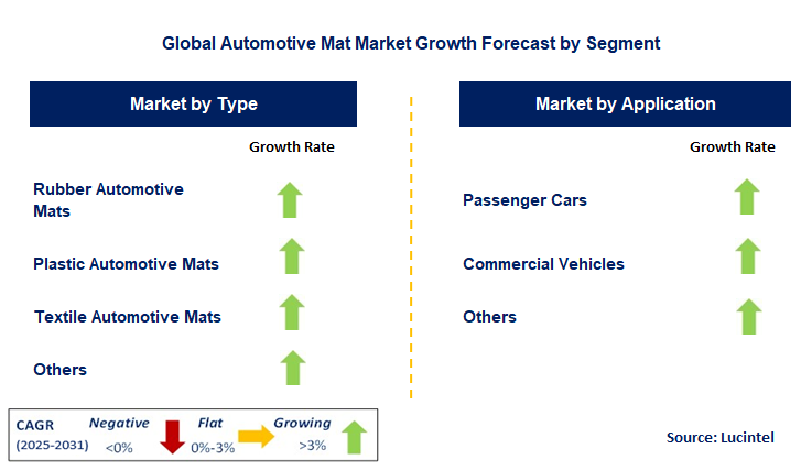 Automotive Mat Market by Segment