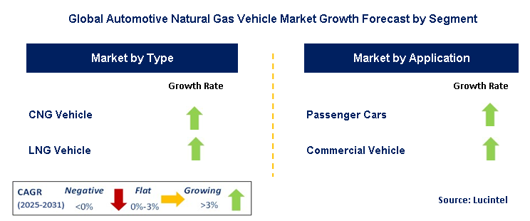 Automotive Natural Gas Vehicle Market by Segment