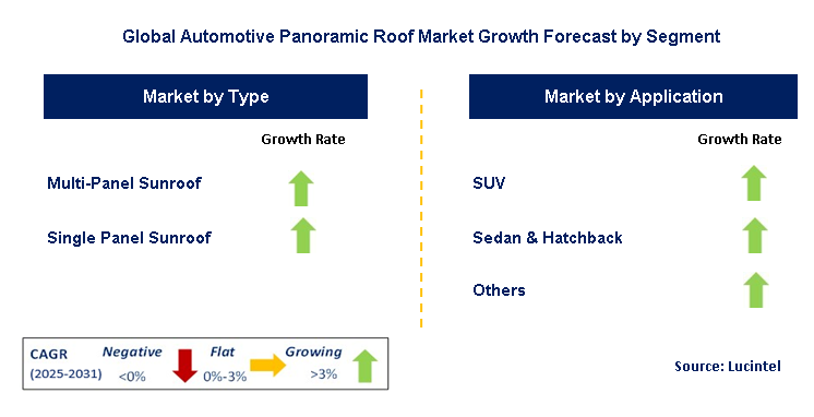 Automotive Panoramic Roof Market by Segment