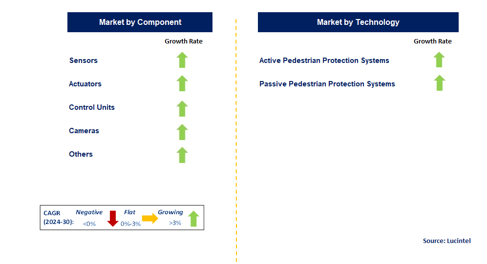 Automotive Pedestrian Protection System by Segment