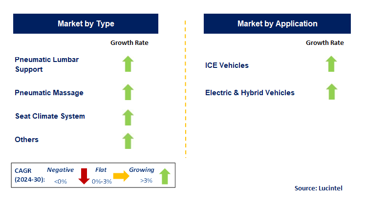 Automotive Pneumatic Comfort Seat System by Segment