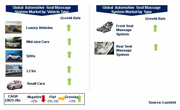 Automotive Seat Massage System Market by Segments