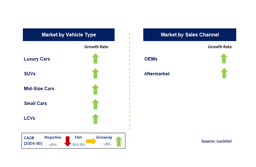 Automotive Seat Massage System Market Segments