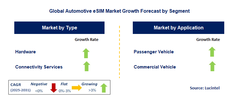 Automotive eSIM Market by Segment