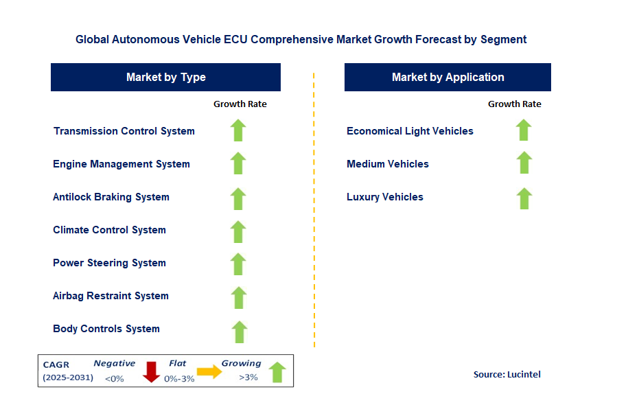 Autonomous Vehicle ECU Comprehensive Market by Segment