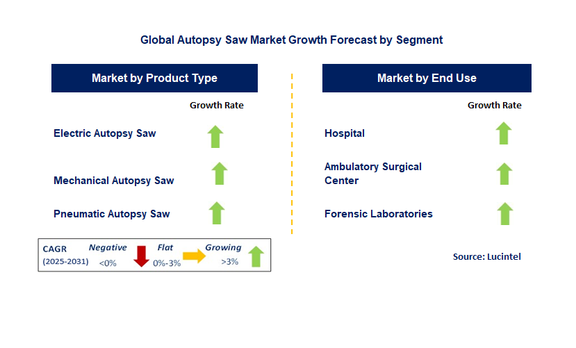 Autopsy Saw Market by Segment