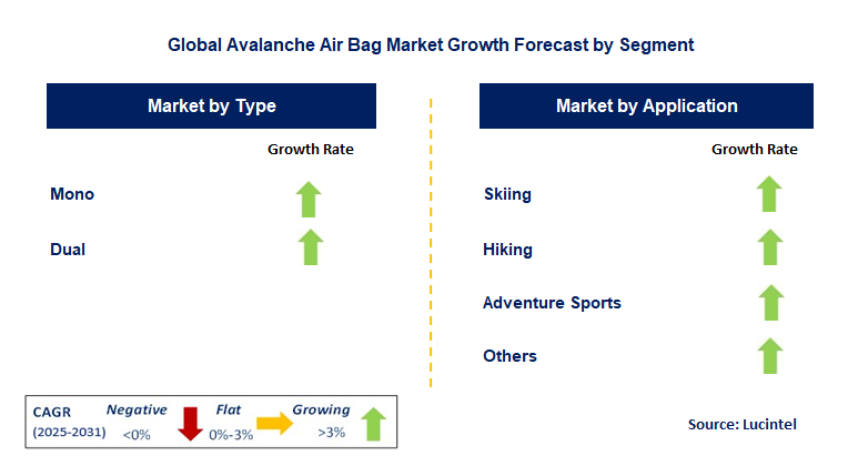 Avalanche Air Bag Market by Segment