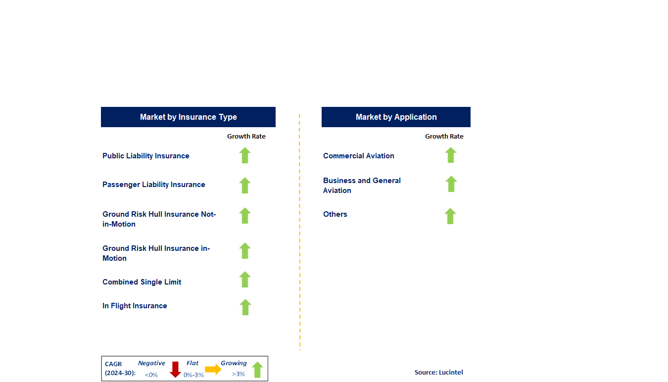 Aviation Insurance by Segment