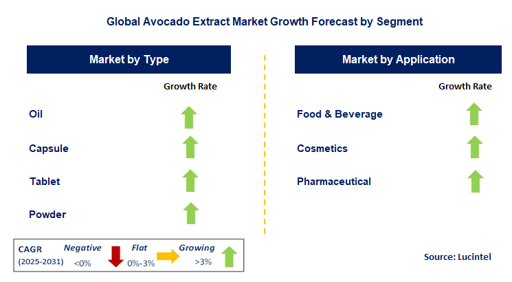 Avocado Extract Market by Segment