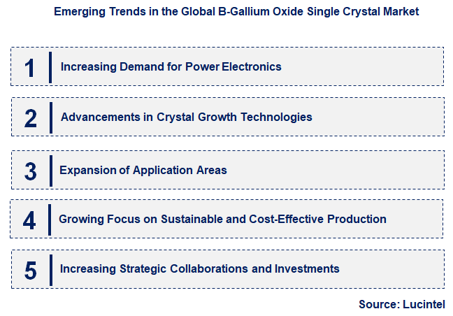 Emerging Trends in the B-Gallium Oxide Single Crystal Market