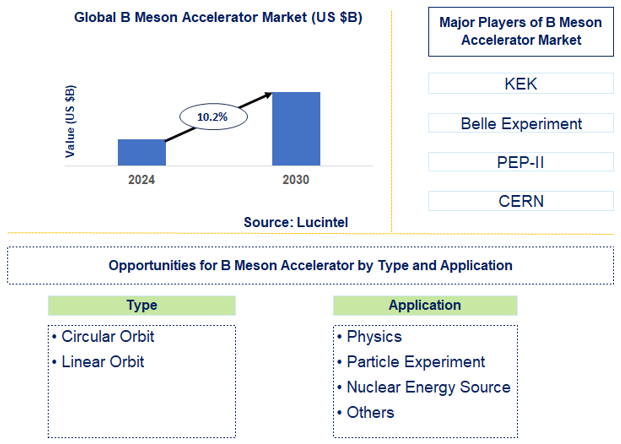 B Meson Accelerator Trends and Forecast