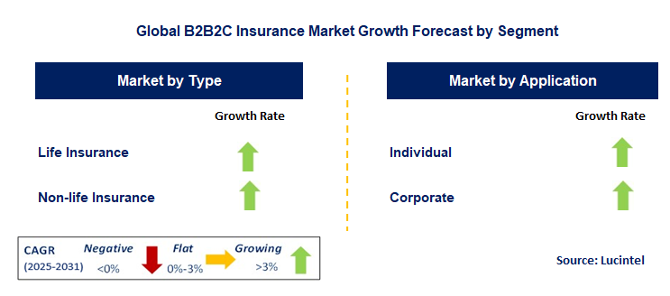 B2B2C Insurance Market by Segment