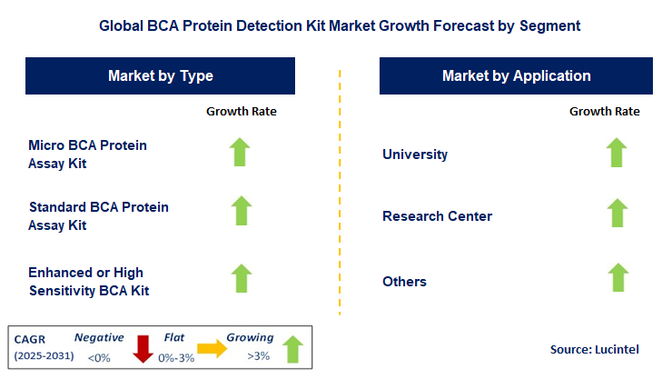 BCA Protein Detection Kit Market by Segment