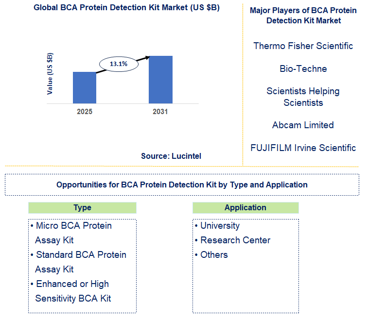 BCA Protein Detection Kit Market Trends and Forecast