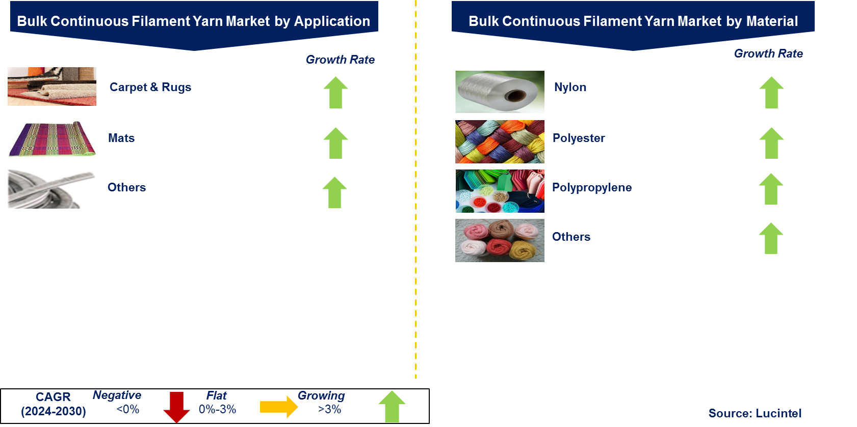 Bulk Continuous Filament Yarn Market by Segments