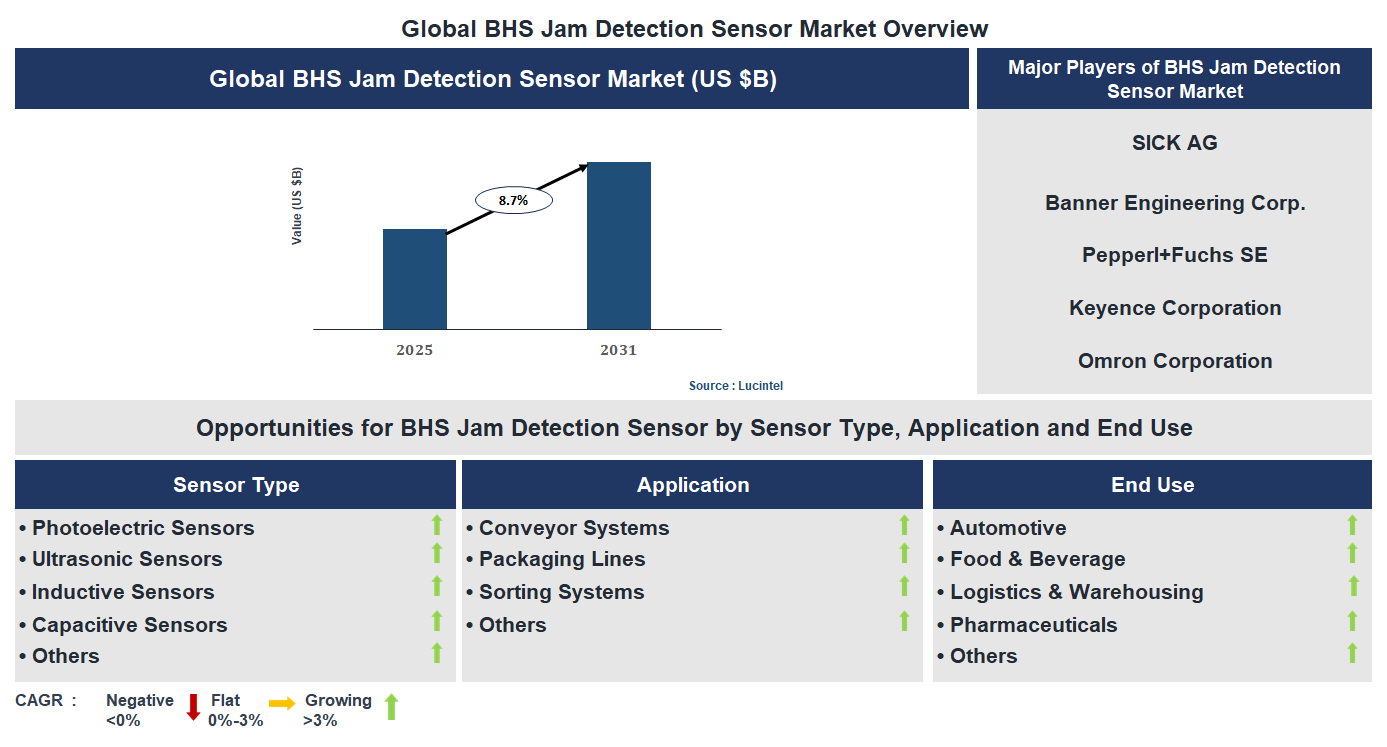 BHS Jam Detection Sensor Market Trends and Forecast