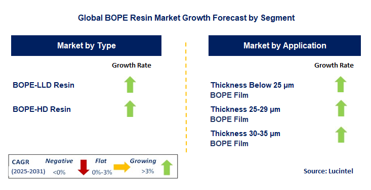 BOPE Resin Market by Segment
