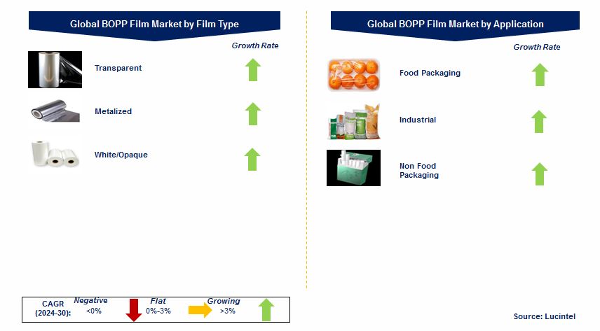 BOPP Film Market by Segments