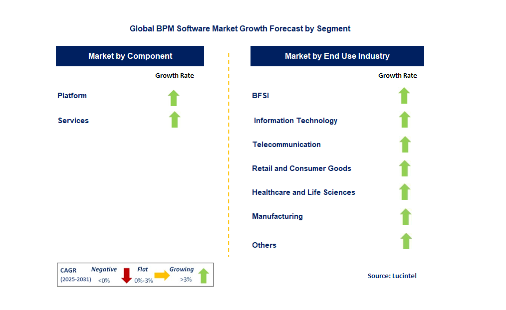 BPM Software Market by Segment