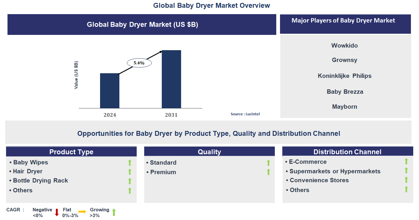 Baby Dryer Market Trends and Forecast