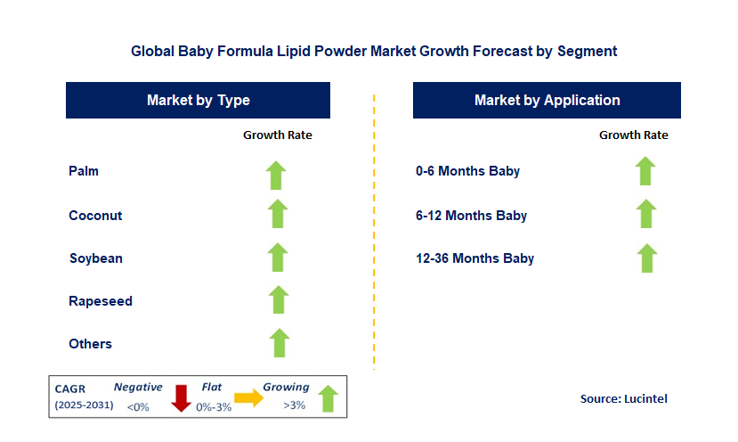 Baby Formula Lipid Powder Market by Segment