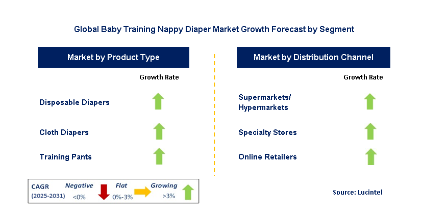 Baby Training Nappy Diaper Market by Segment
