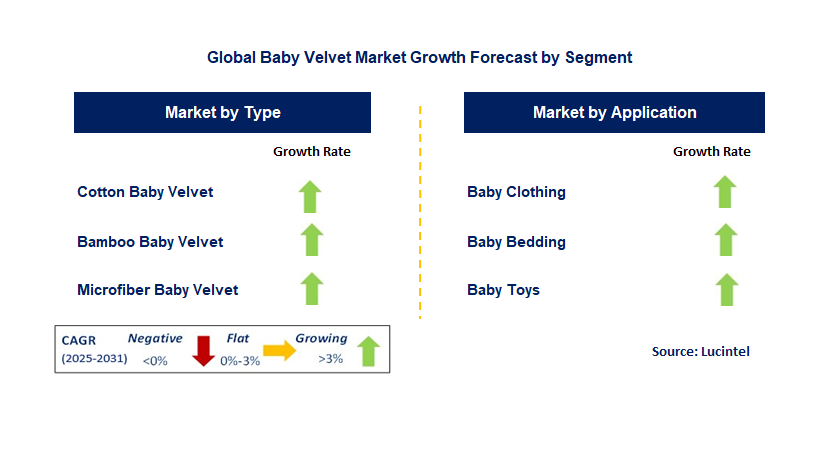 Baby Velvet Market by Segment