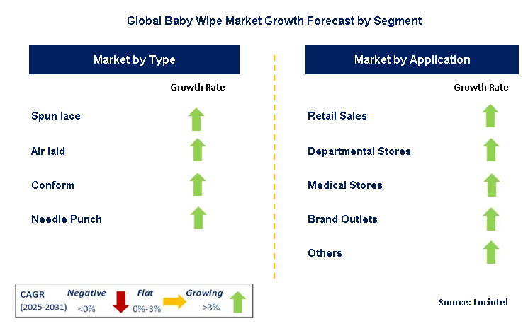 Baby Wipe Market by Segment