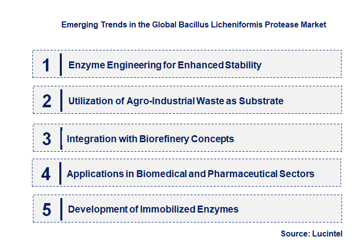 Emerging Trends in the Bacillus Licheniformis Protease Market