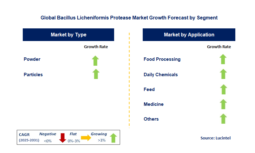 Bacillus Licheniformis Protease Market by Segment