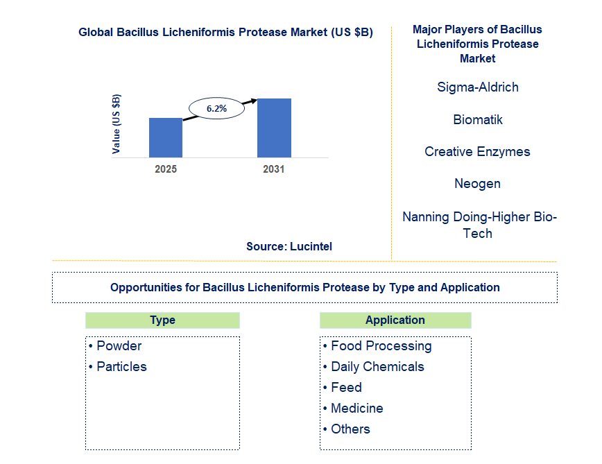 Bacillus Licheniformis Protease Market Trends and Forecast