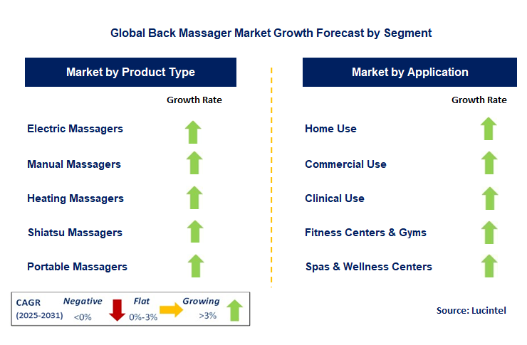 Back Massager Market by Segment