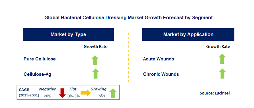 Bacterial Cellulose Dressing Market by Segment