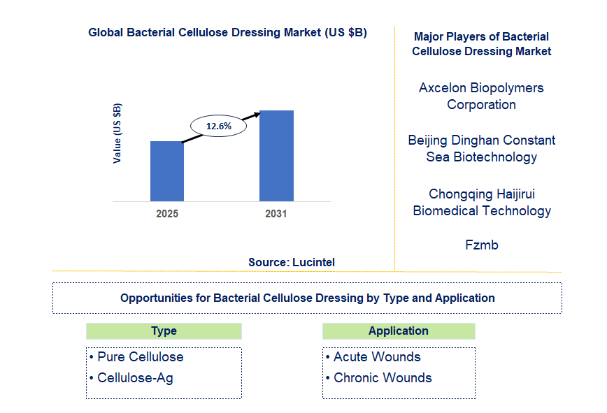 Bacterial Cellulose Dressing Market Trends and Forecast