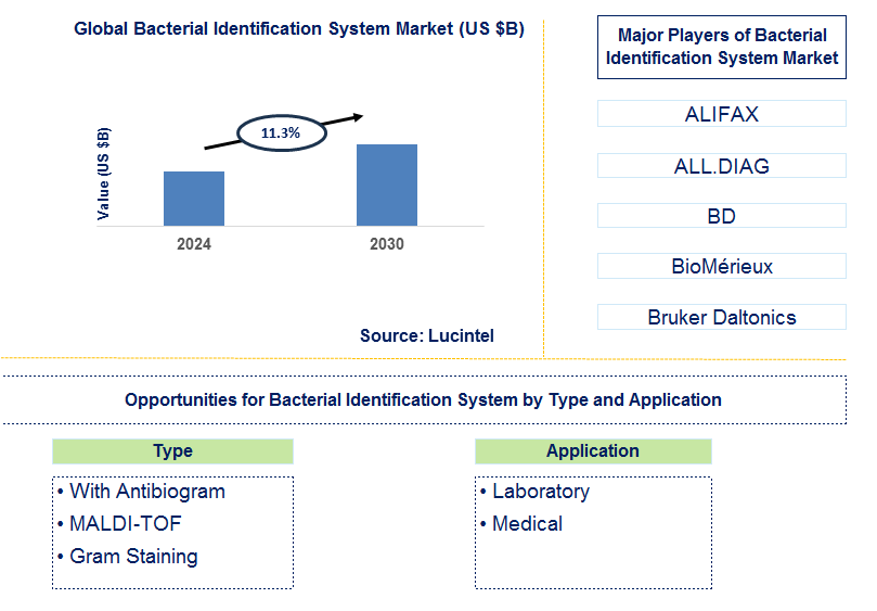 Bacterial Identification System Trends and Forecast