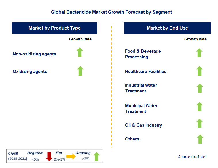 Bactericide Market by Segment