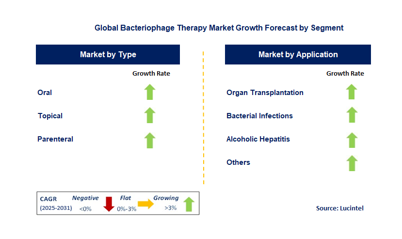 Bacteriophage Therapy Market by Segment