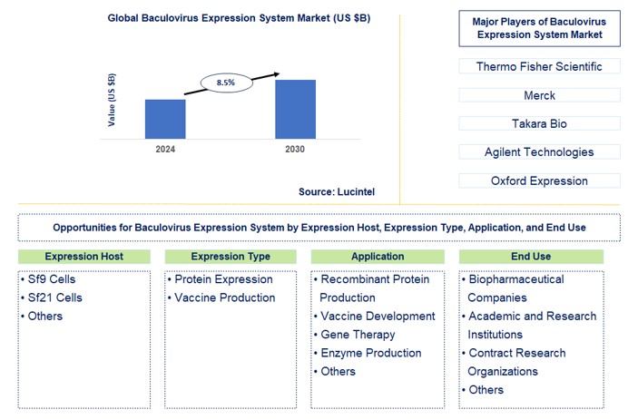 Baculovirus Expression System Trends and Forecast