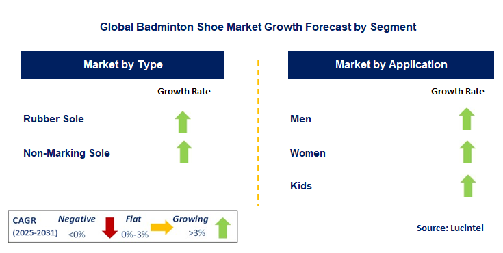 Badminton Shoe Market by Segment