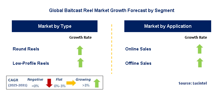 Baitcast Reel Market by Segment