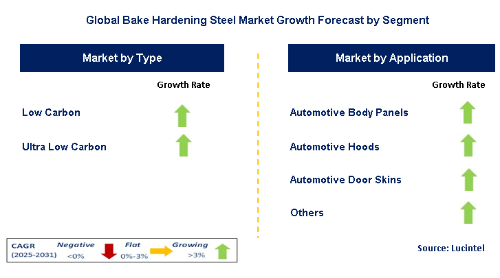 Bake Hardening Steel Market by Segment