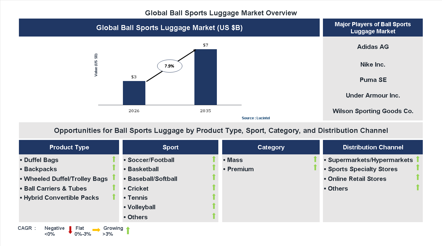 Ball Sports Luggage Market Trends and Forecast