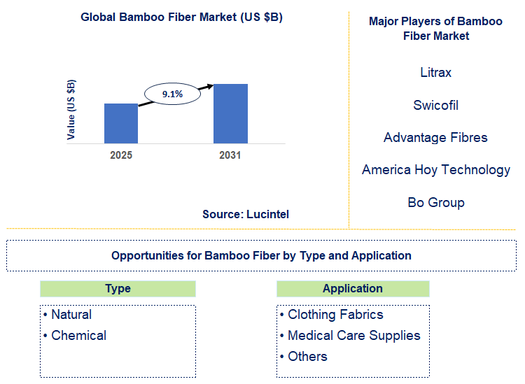 Bamboo Fiber Market Trends and Forecast
