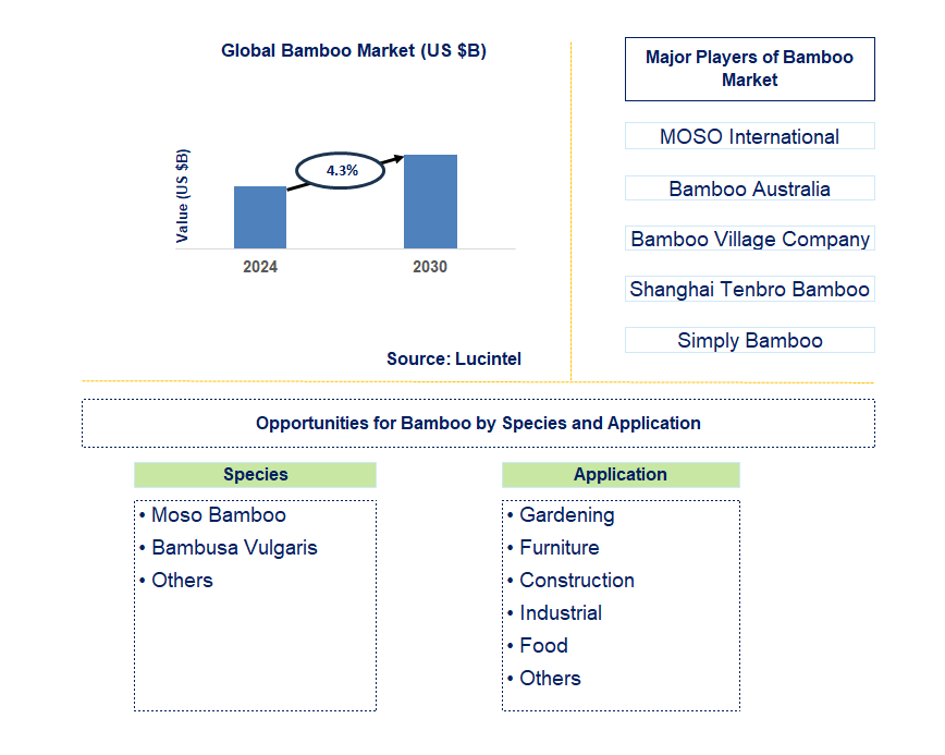 Bamboo Trends and Forecast