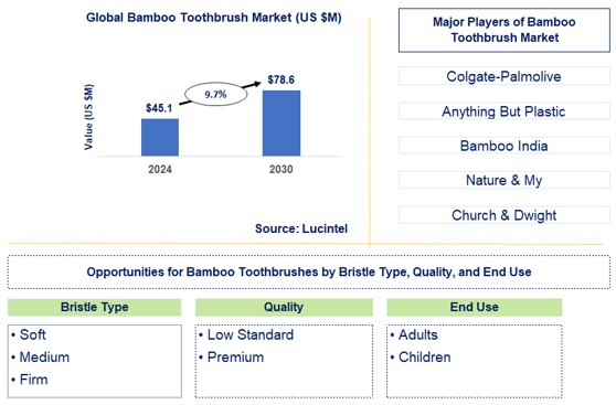 Bamboo Toothbrush Trends and Forecast