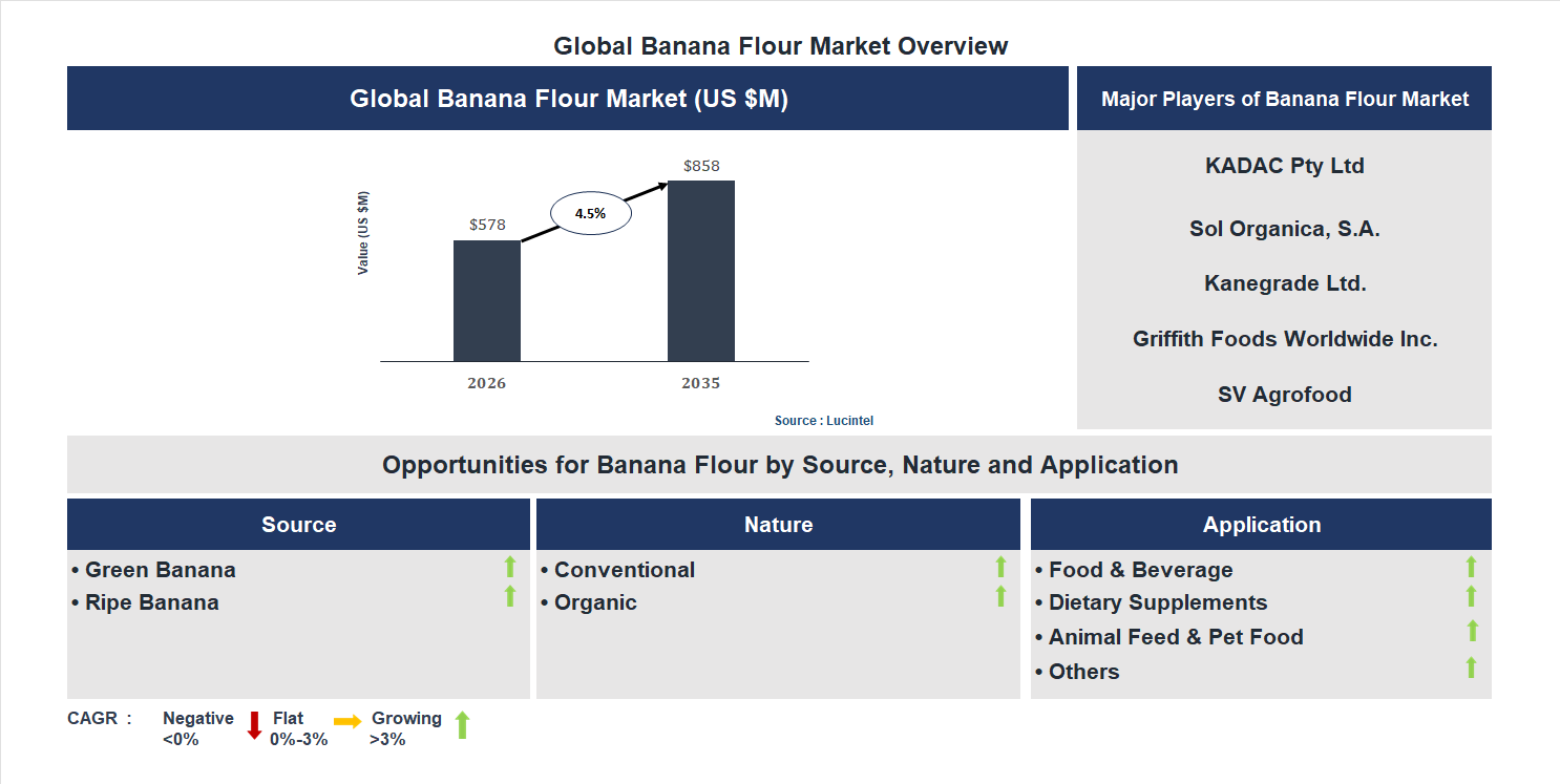 Banana Flour Market Trends and Forecast
