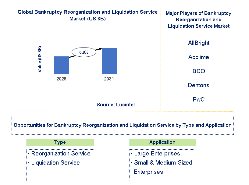 Bankruptcy Reorganization and Liquidation Service Market Trends and Forecast