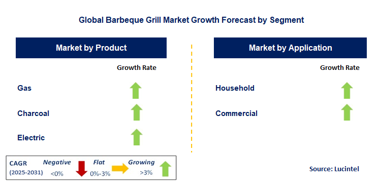 Barbeque Grill Market by Segment