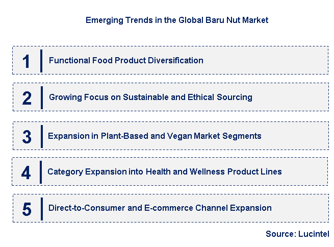Emerging Trends in the Baru Nut Market